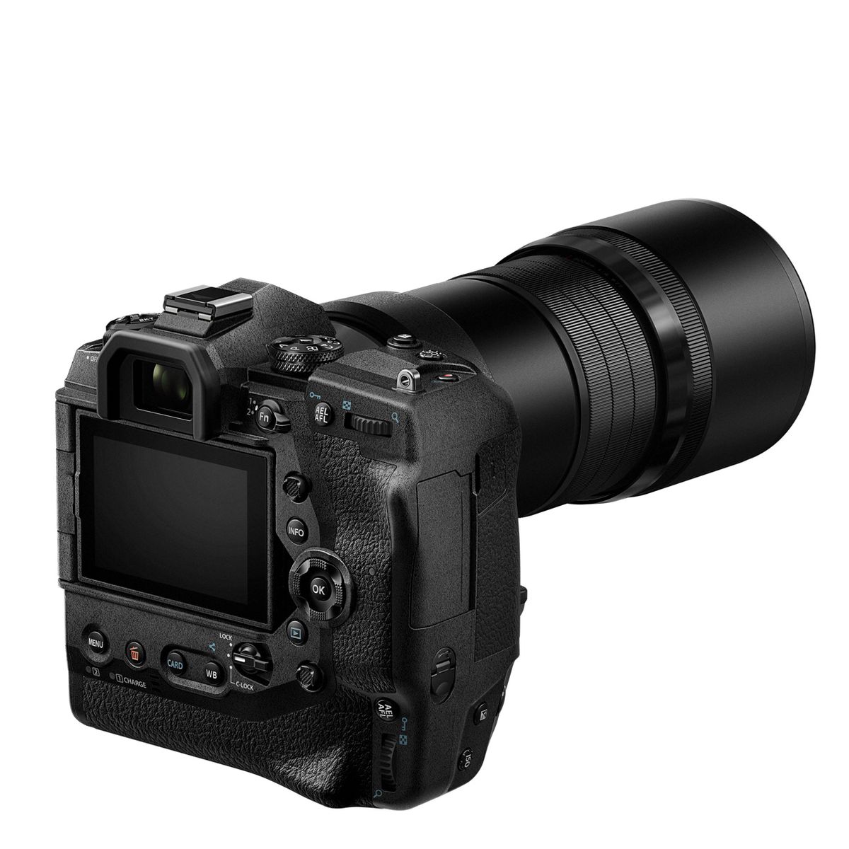 Best camera for wildlife photography in 2023 Digital Camera World