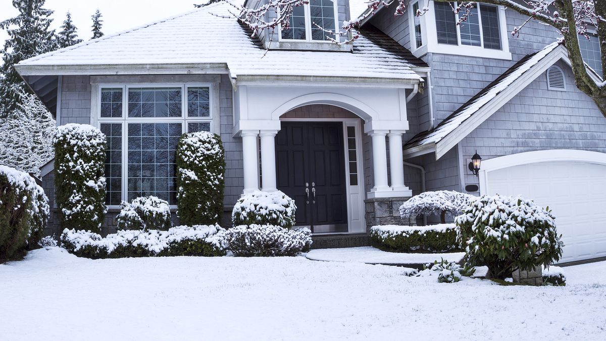 Suburban home with snow on lawn, plants, trees and roof