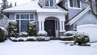 Suburban home with snow on lawn, plants, trees and roof