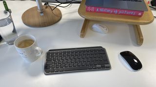 The Apple Magic mouse sat alongside a Logitech keyboard and mouse.