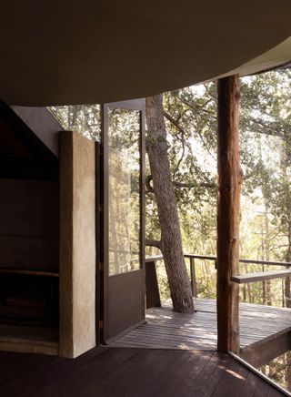 pearlman cabin interior with tree trunk through it