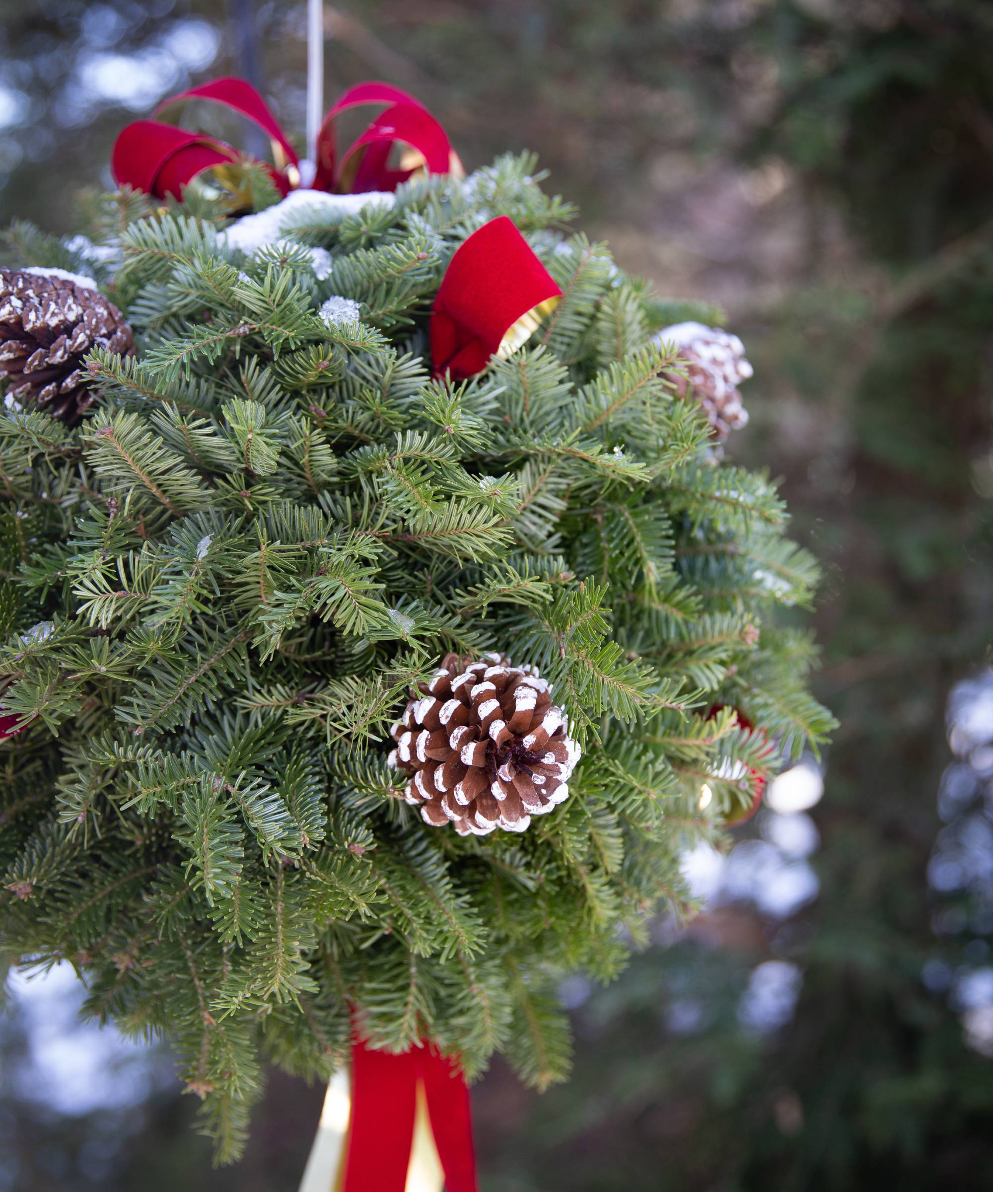 Evergreen kissing ball with pinecones and red ribbon