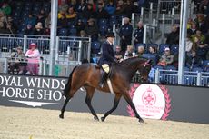 HorseNo2020_RWHS_PN23_73323.jpg