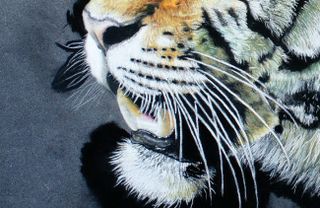 tiger painting with muzzle and mouth