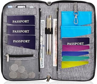 The inside of a gray Valante travel document organizer filled with passports, cash and change