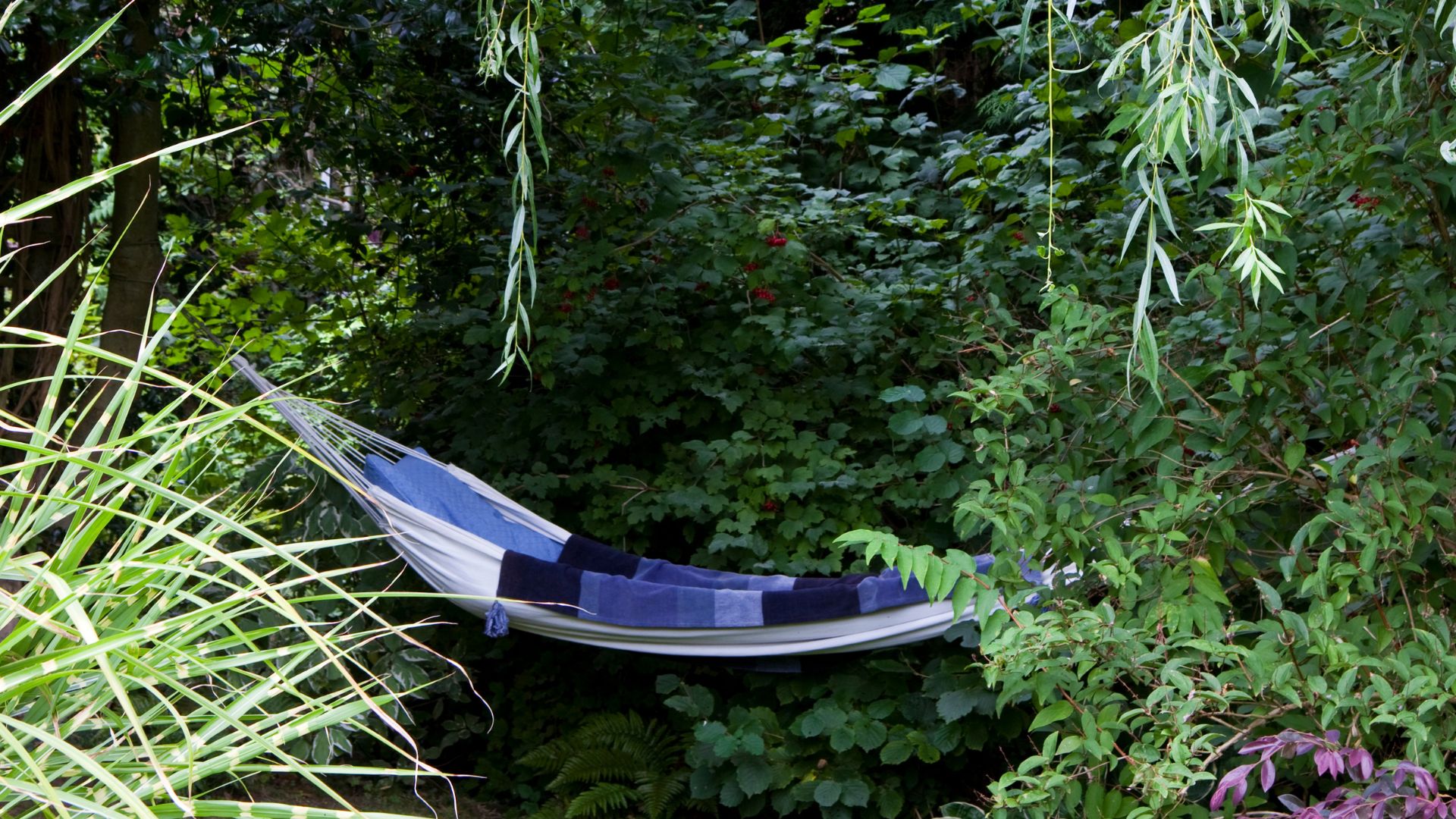 picture of hammock with blanket in corner of garden
