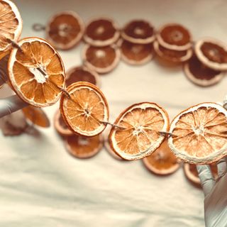 Dried Orange Garland