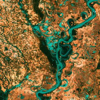 Mississippi river captured by Landsat Program.