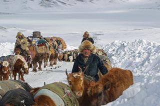 Kazakh moving herd around Black Lake