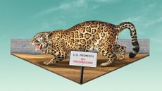 Illustration of a jaguar next to the US-Mexico border wall