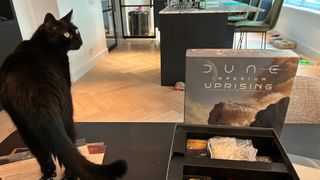 A cat stands beside the Dune: Imperium - Uprising box on a table