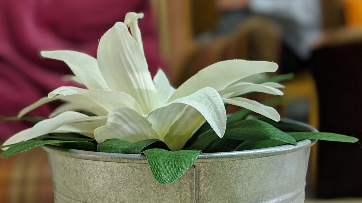 Google Pixel 3 XL sample
