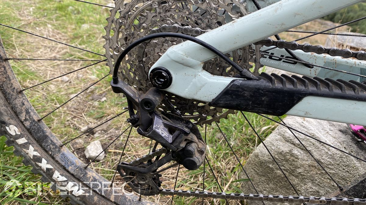 A close up of the Focus Jam 6.9 trail bikes Maxxis Minion tires