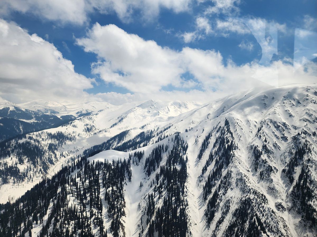 GuruShots - February 2026