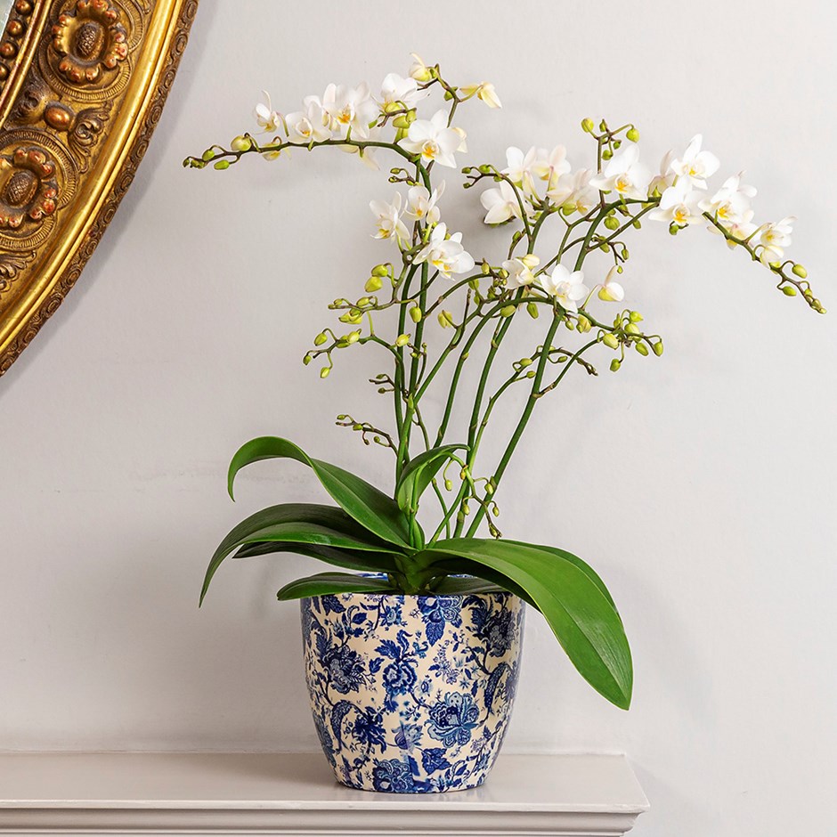 Vintage Floral Print Plant Pot - Blue