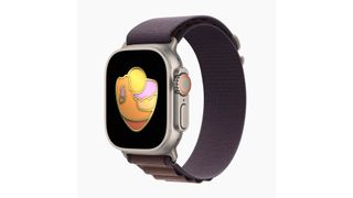 Apple Watch Limited Edition Workout Award Celebrating National Parks