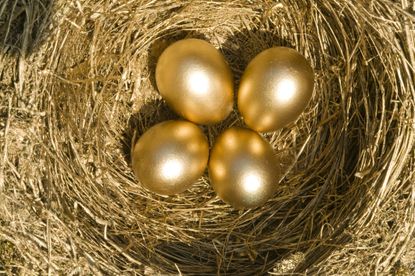 Birds's nest containing four golden eggs