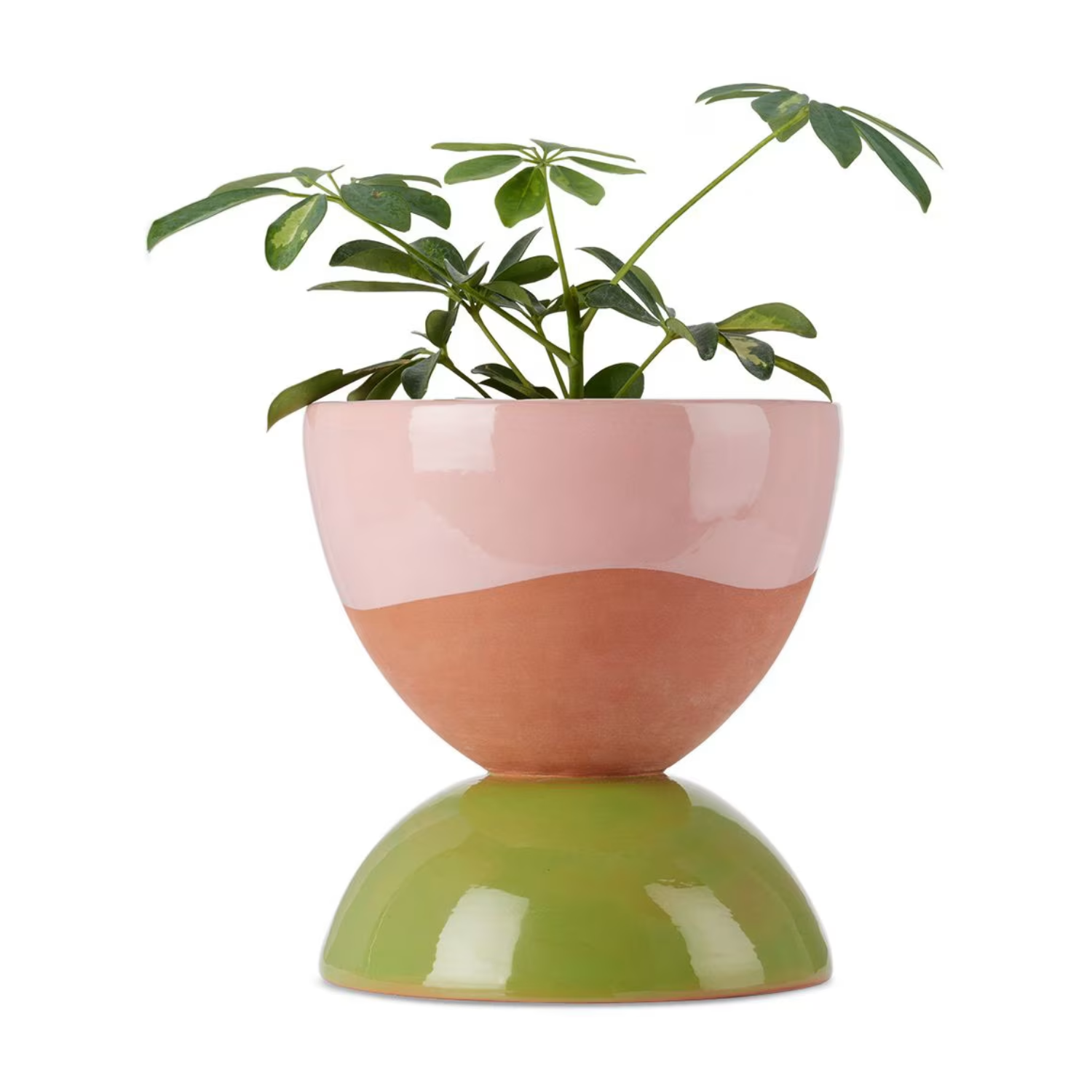 A colorful planter by Tina Vaia from SSENSE