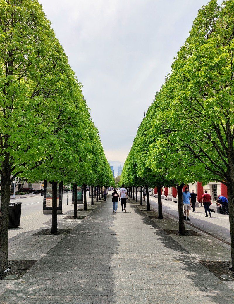 OnePlus 8 Pro camera sample