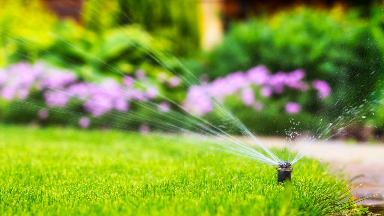 sprinkler watering a lawn