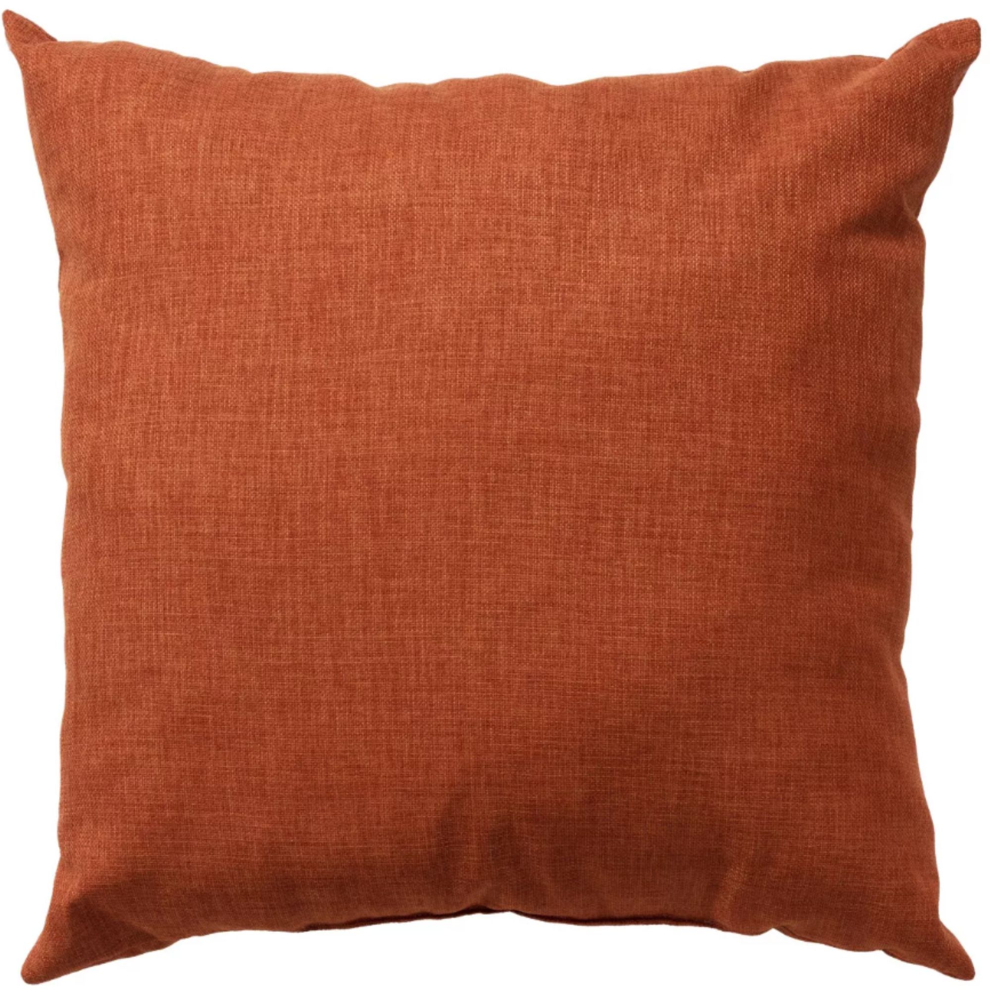 Orange Indoor Outdoor Throw Pillow