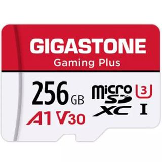 Product shot of Gigastone 256GB Micro SD Card, one of the best Nintendo Switch SD cards