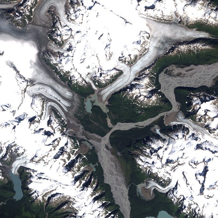 The two glaciers in 1987 were larger and the proglacial lake between them was a lighter blue color.