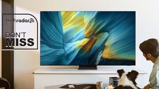 Samsung S95F OLED TV on a bench, with a man and his dog looking at it. 