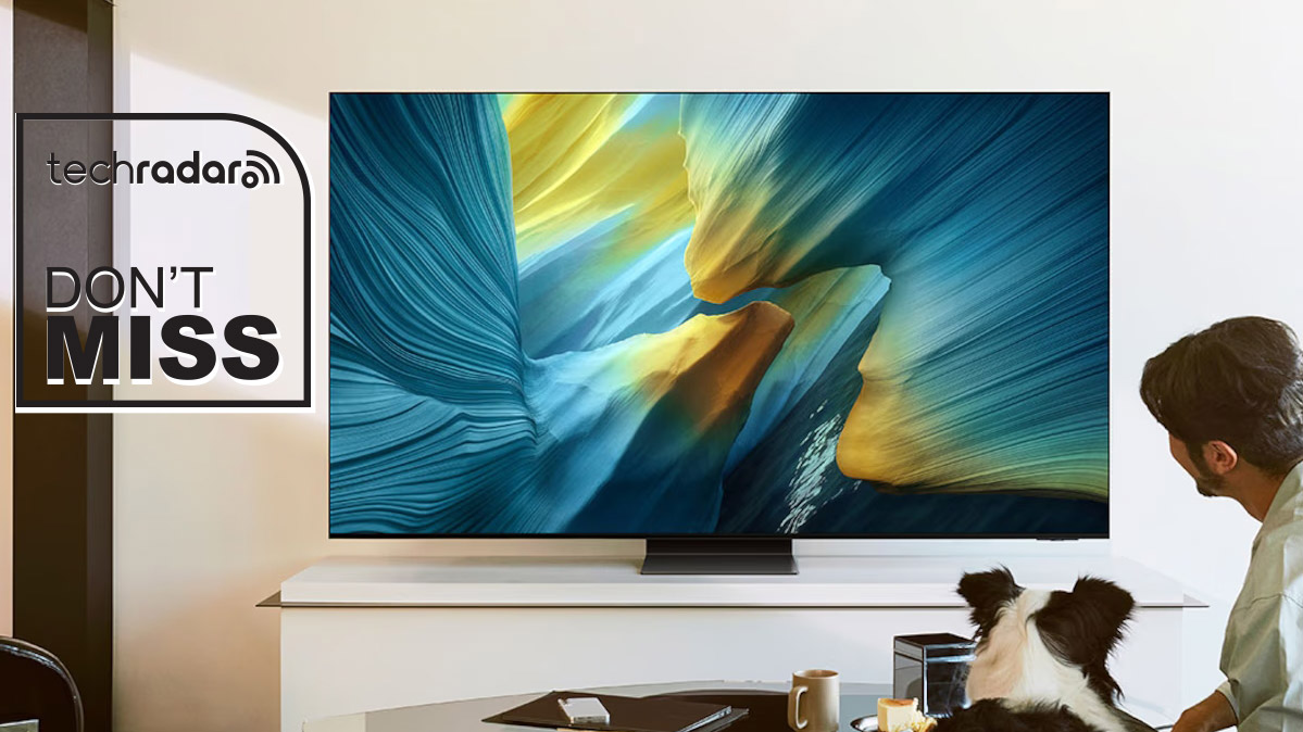 Samsung S95F OLED TV on a bench, with a man and his dog looking at it. 