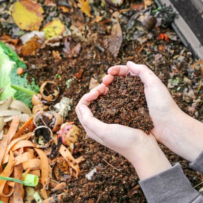 Gardener holds homemade compost above a compost bin filled with organic waste