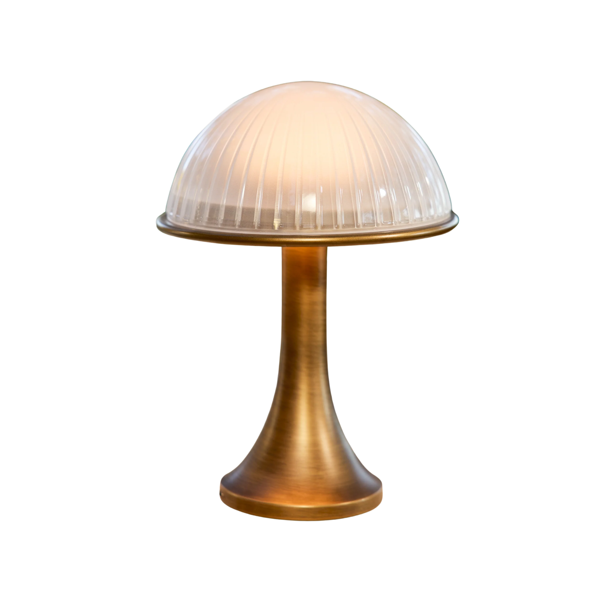 an outdoor portable lamp