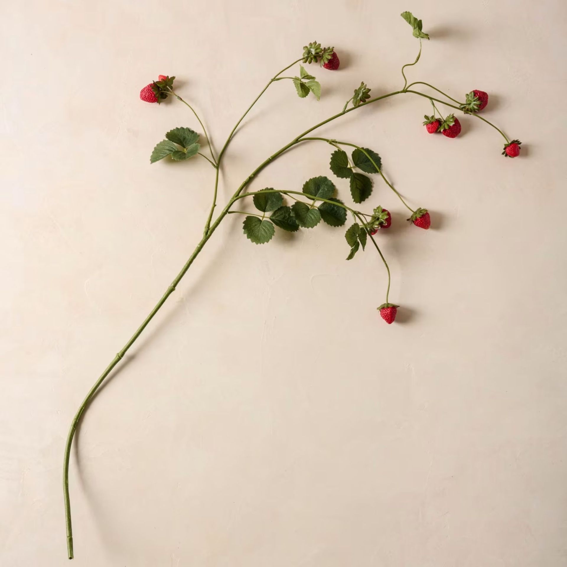 Strawberry Vine Spray