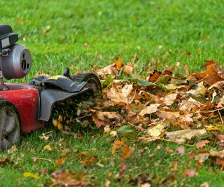 A lawn mower on grass covered in fallen brown leaves