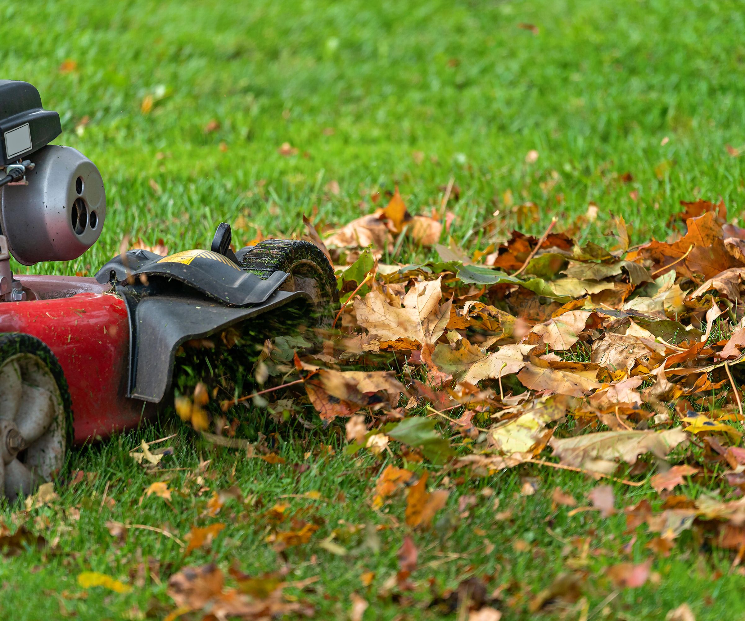 When Should You Stop Mowing Your Lawn In The Fall 