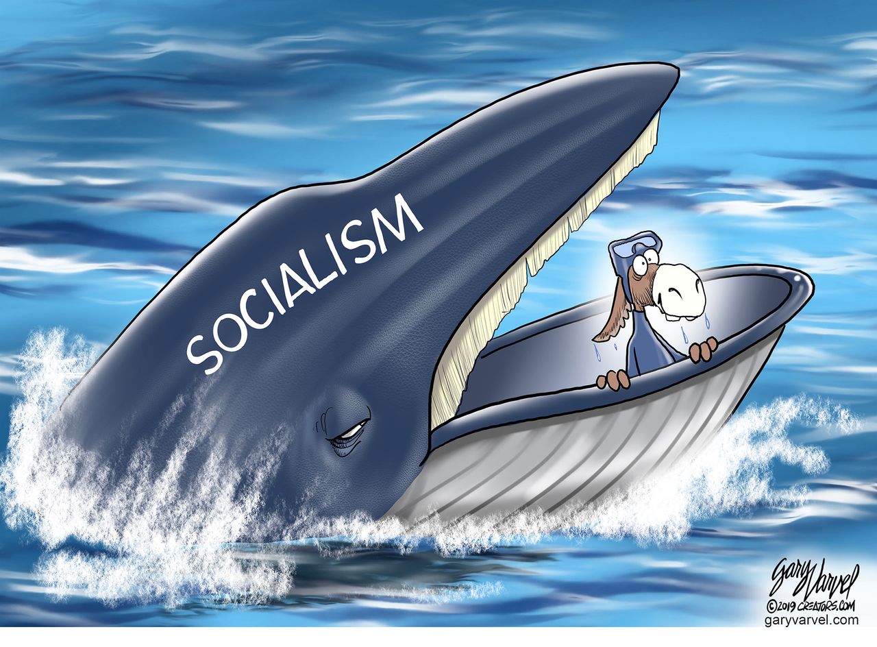 Political Cartoon U.S Democrats socialism whale