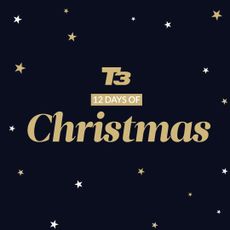 12 days of Christmas