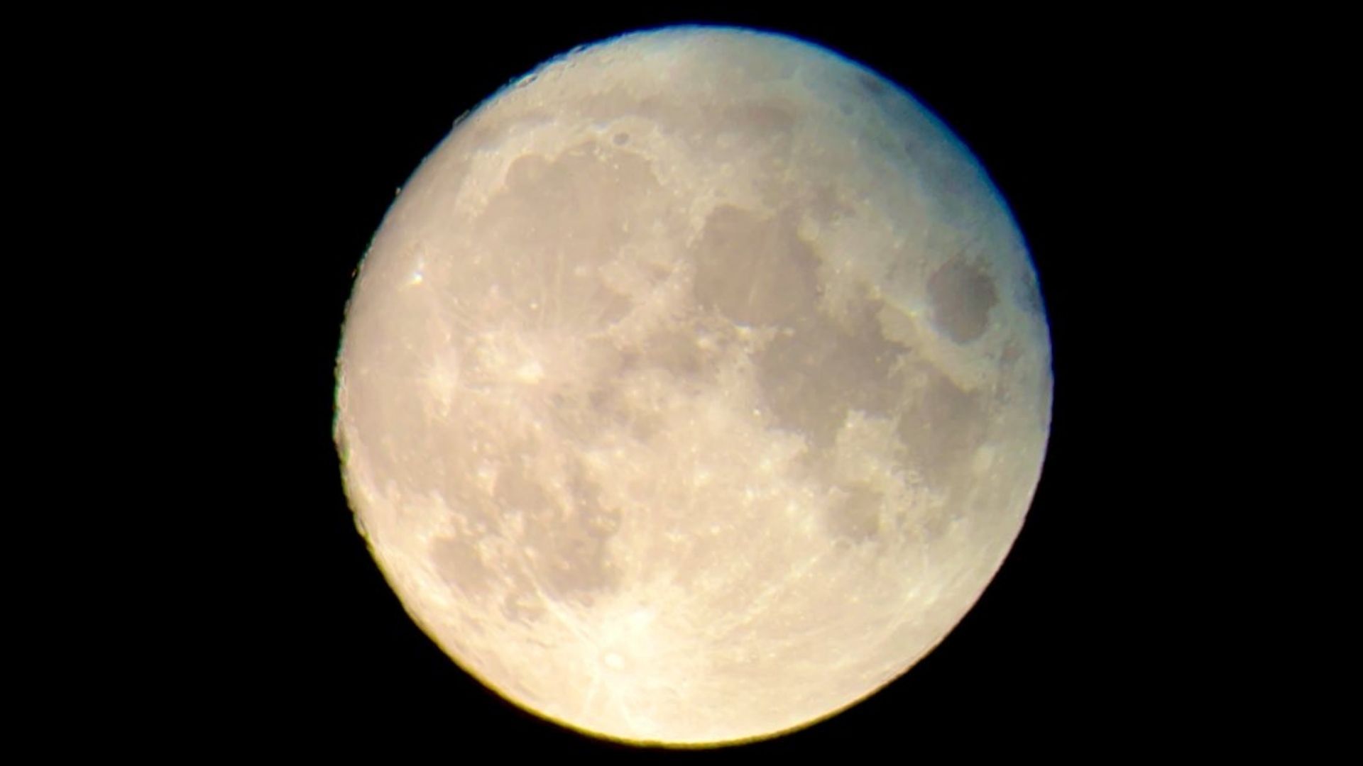 Celestron NexGO DX