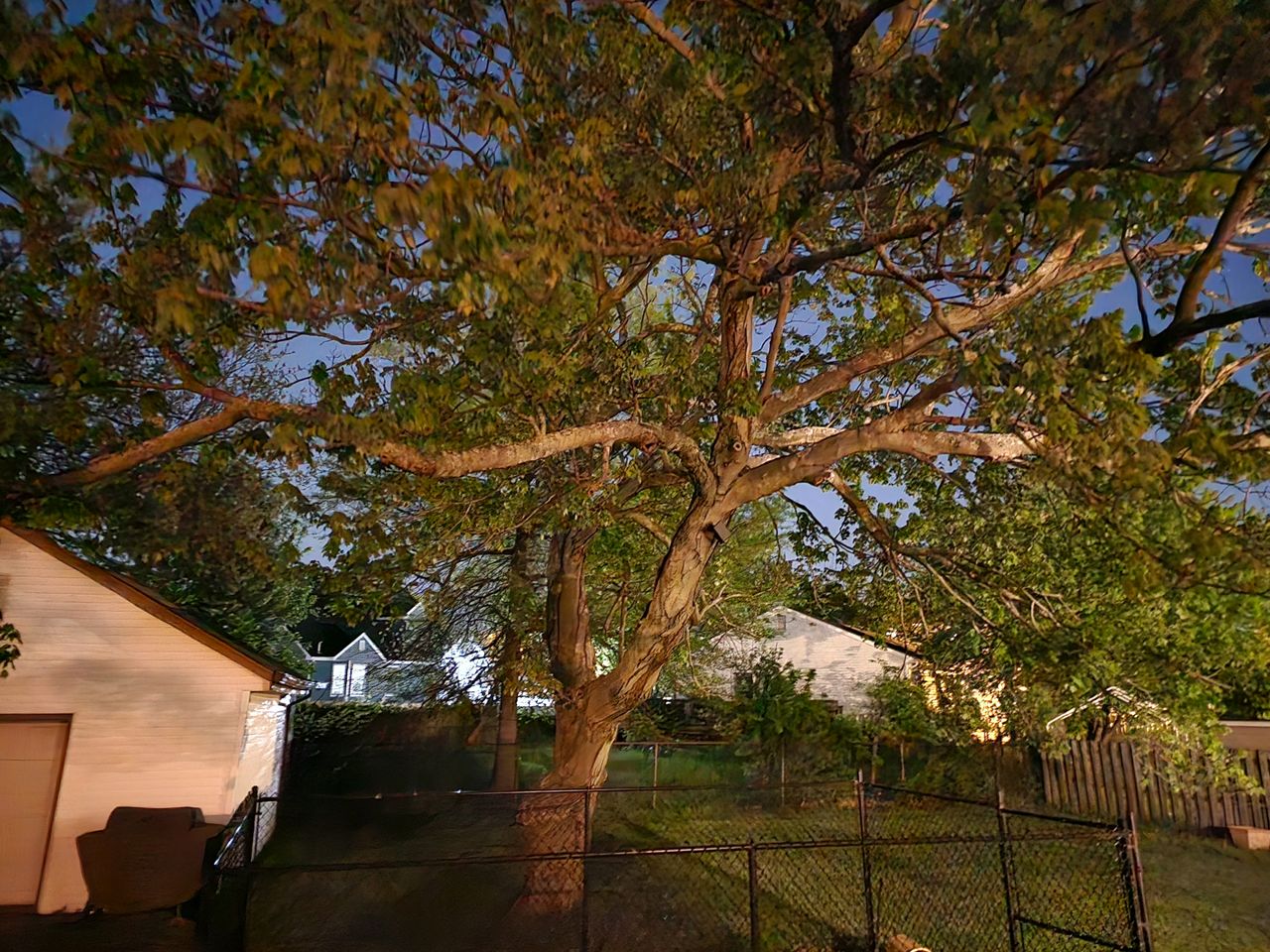 Galaxy S24 Ultra vs. Galaxy S23 Ultra