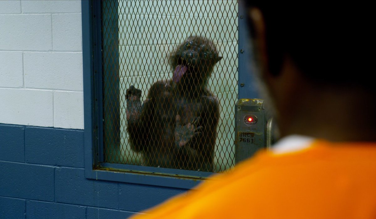 Weasel licks his cell window in The Suicide Squad.