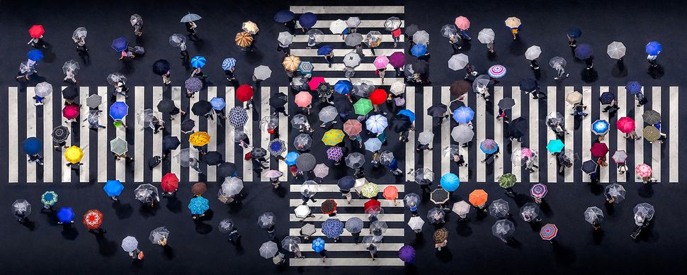 Winnaars-aerial-photography-awards-2020-luchtfotografie-cameradeals.be