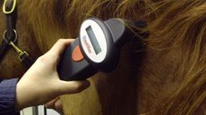 microchip-scanner.jpg