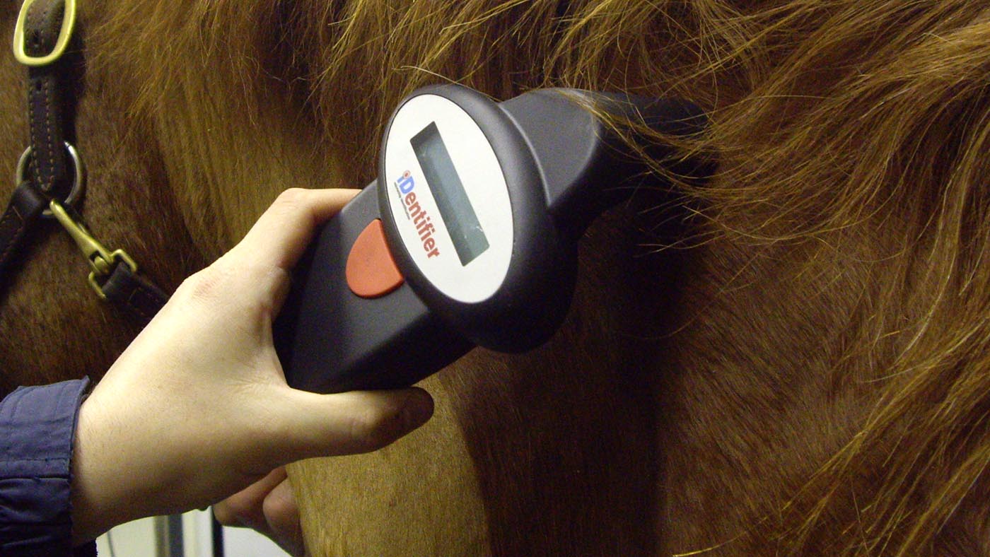 microchip-scanner.jpg