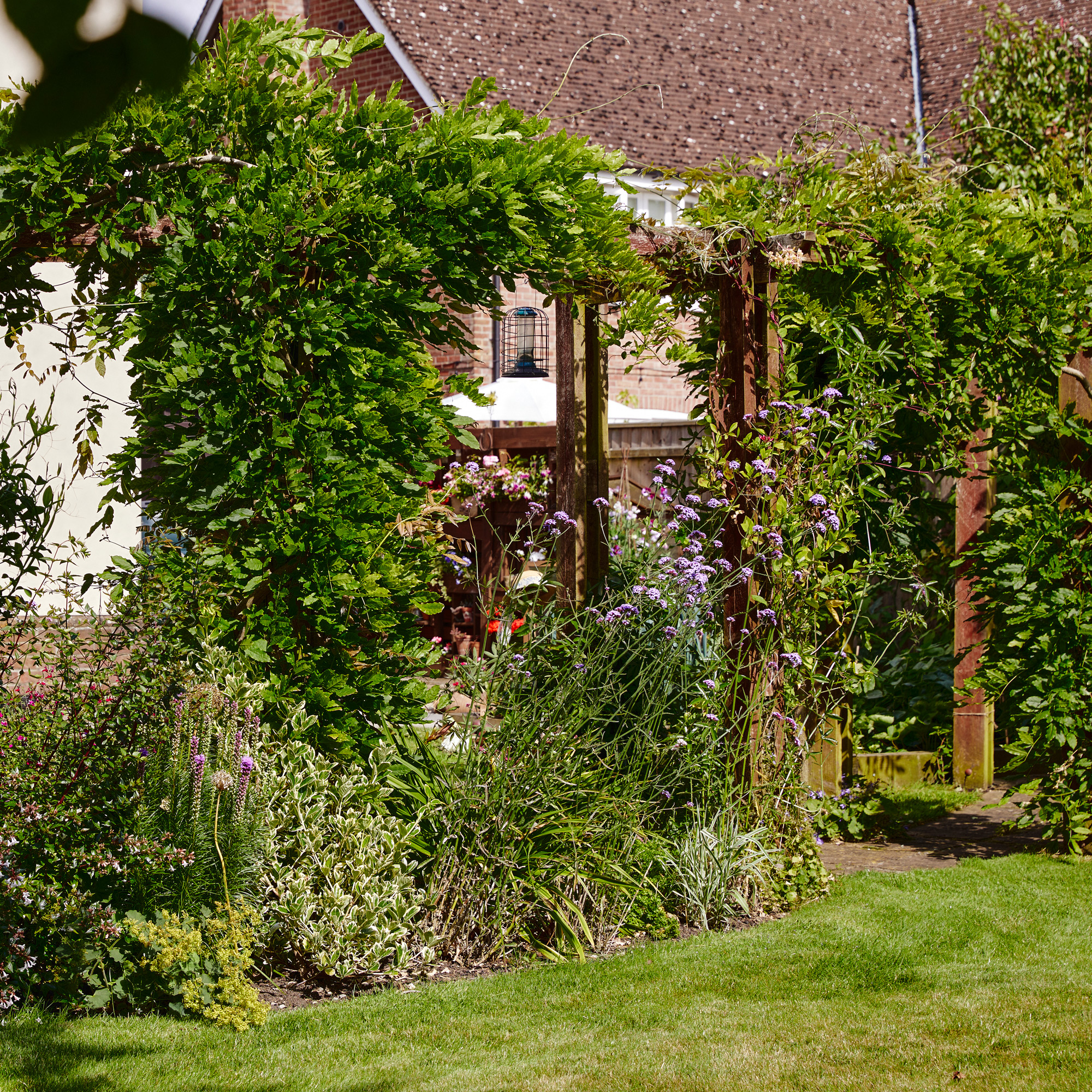 a pergola walk way covered in climbing plants alongside a lawn