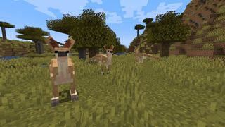 Minecraft mods - a group of kangaroos from Alexs Mobs