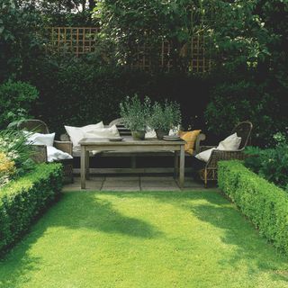 Shady seating area in garden