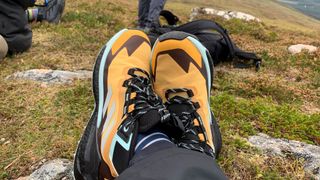 Adidas Terrex Free Hiker 2 GTX boots