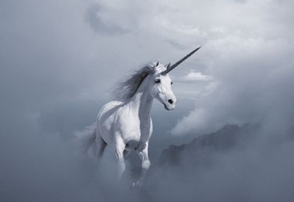The unicorns of the start-up industry may be in trouble