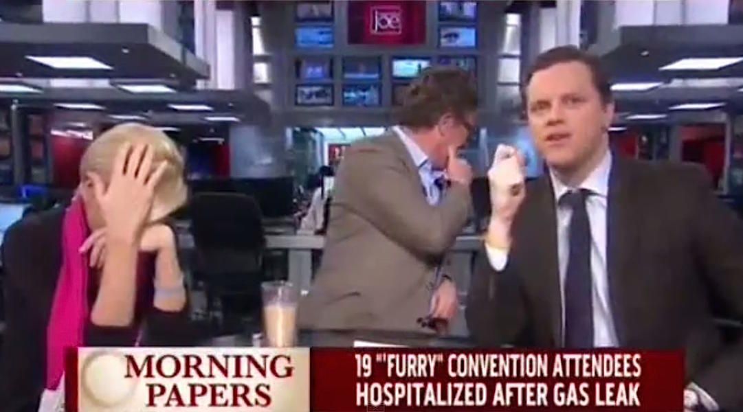 On Monday, Morning Joe&amp;#039;s Mika Brzezinski learned what a &amp;#039;furry&amp;#039; is on live TV