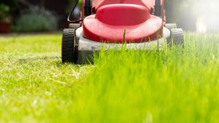 A red lawn mower cutting the grass
