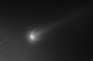 Comet ISON Unfolds Its Wings